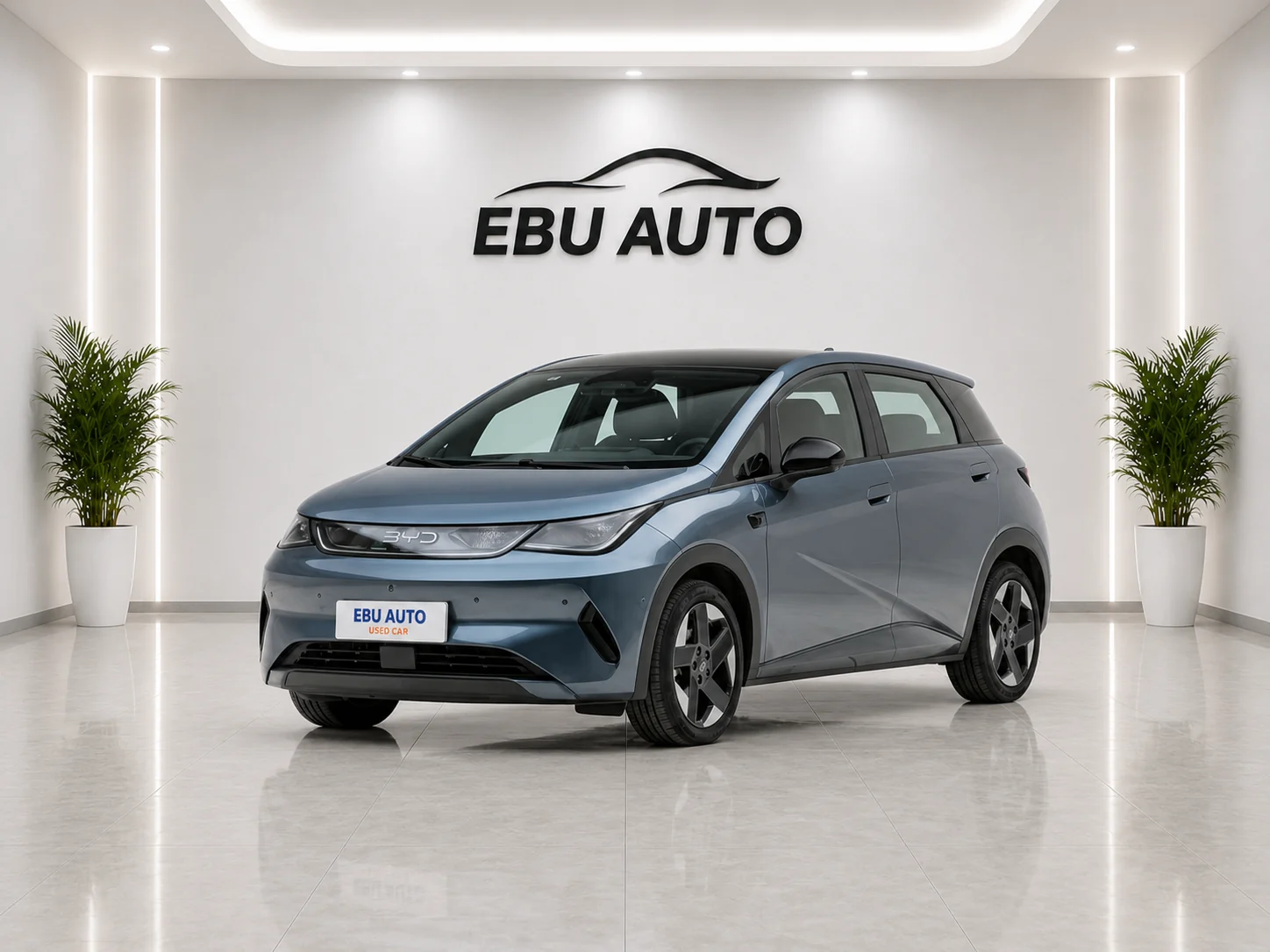 BYD Dolphin 2025 Smart Driving 420 km Freedom