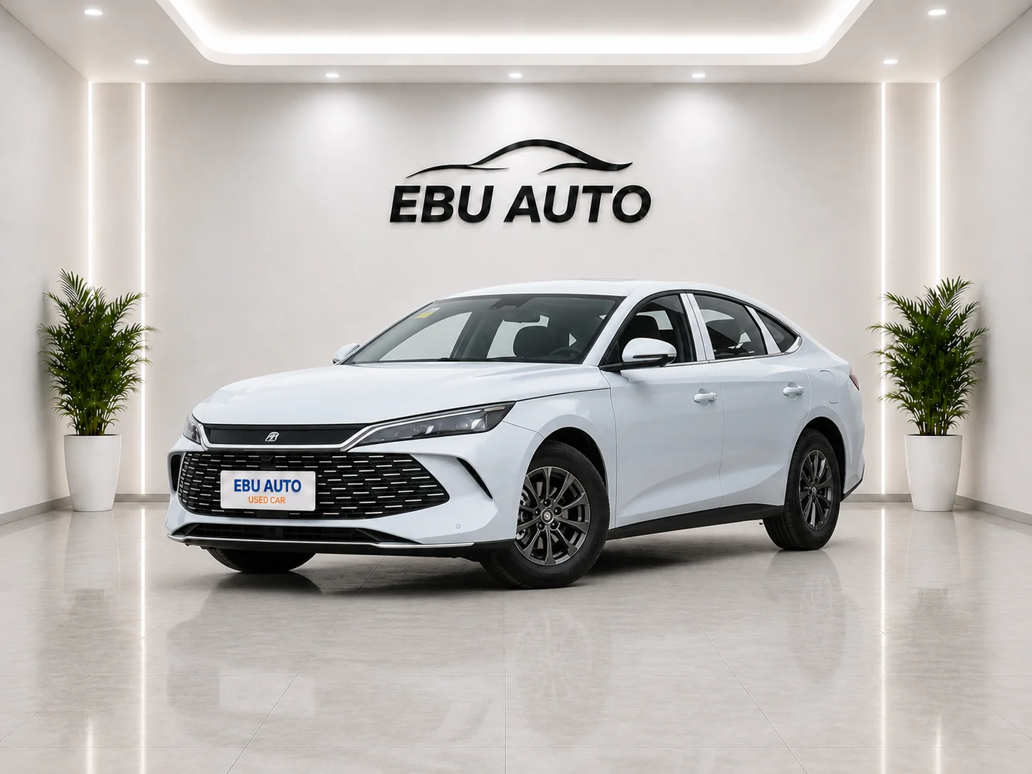 BYD BYD Qin L DM vehicle front view