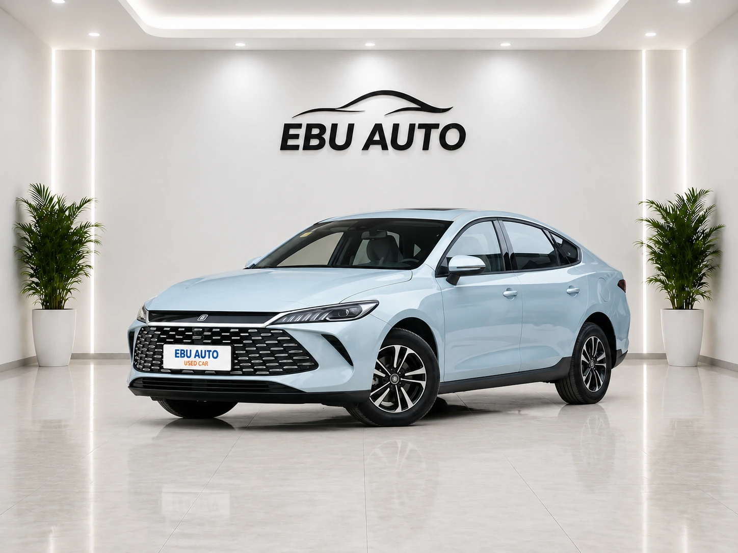 BYD Qin PLUS DM 2026 DM-i 128 km Progressive