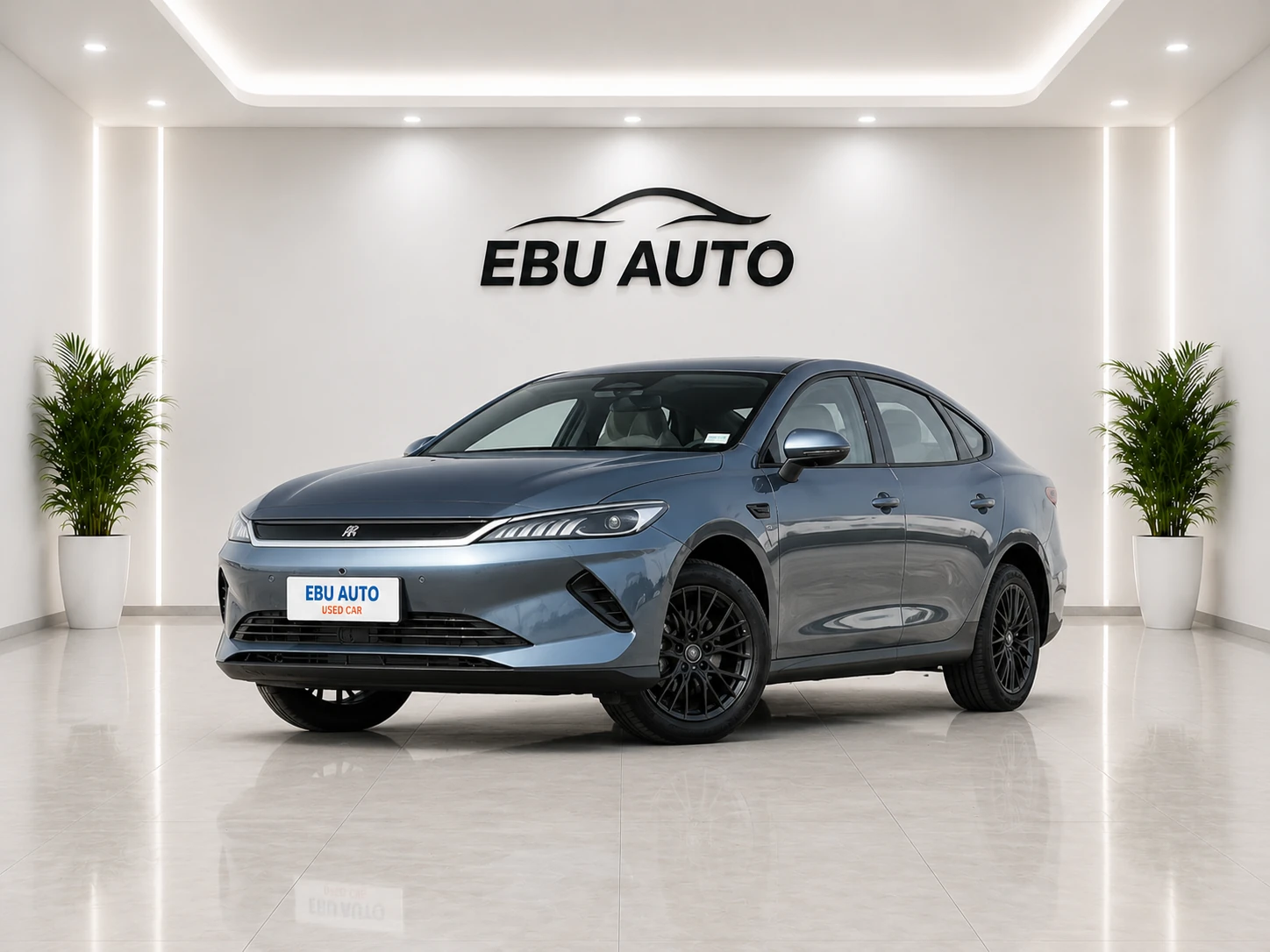 BYD Qin PLUS EV 2025 Smart Driving 420 km Progressive