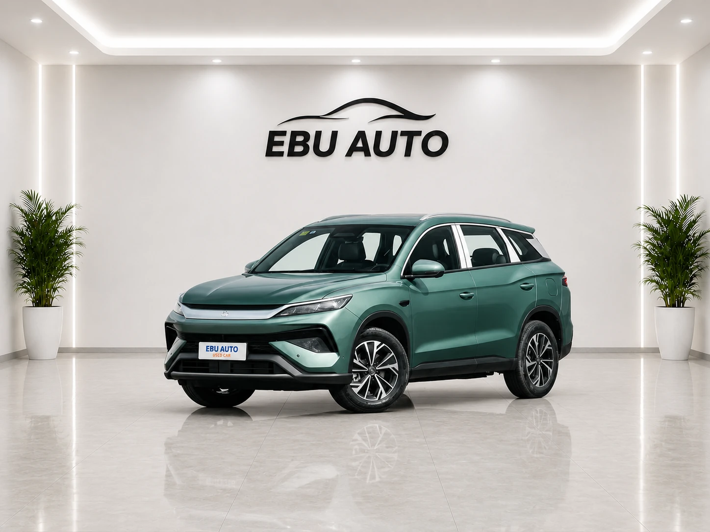 BYD Song Pro DM 2026 DM-i Feichi Edition 220 km Leading