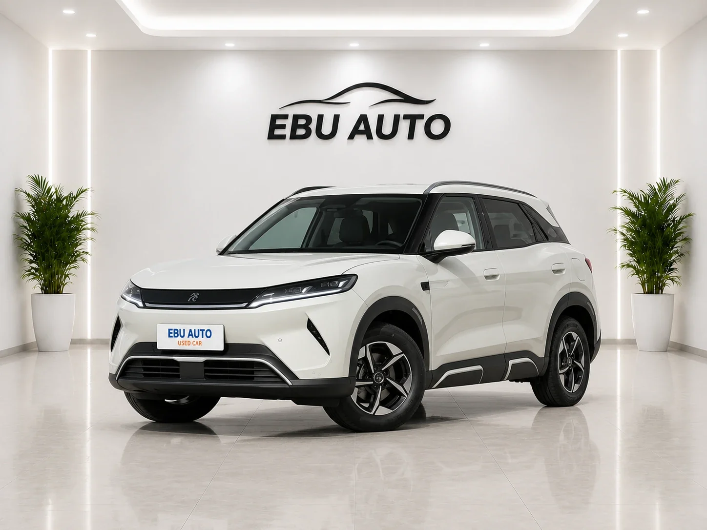 BYD Yuan UP / Atto 2 vehicle front view